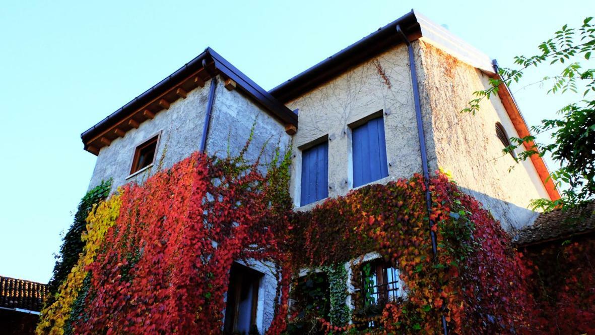 B&B Col Del Vin Belluno Bagian luar foto