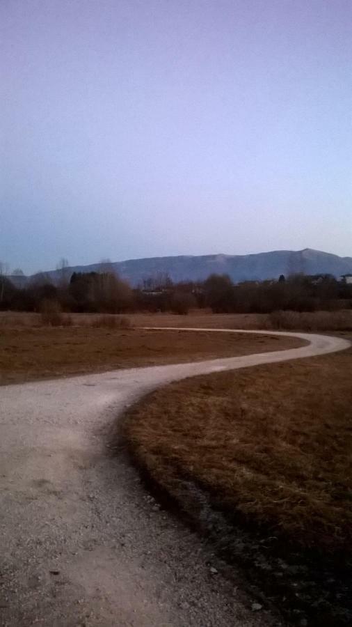 B&B Col Del Vin Belluno Bagian luar foto