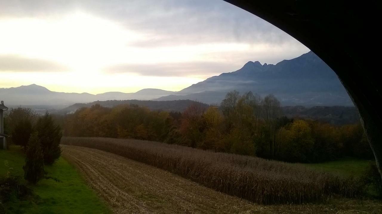 B&B Col Del Vin Belluno Bagian luar foto