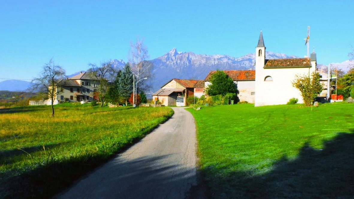 B&B Col Del Vin Belluno Bagian luar foto