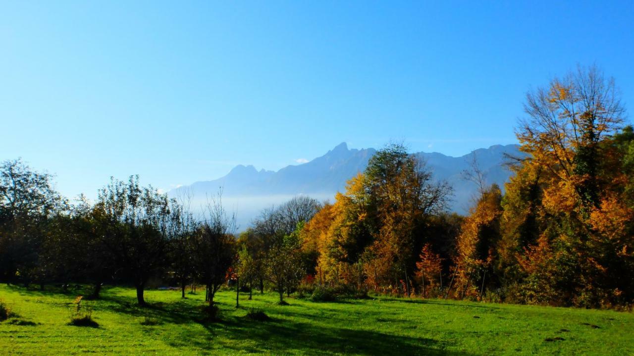 B&B Col Del Vin Belluno Bagian luar foto