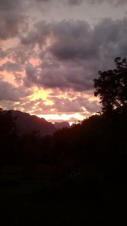 B&B Col Del Vin Belluno Bagian luar foto